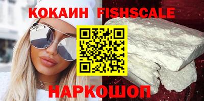 дживик Можга