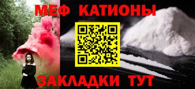 дживик Можга