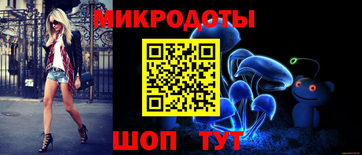 Псилоцибиновые грибы Cubensis Новокузнецк
