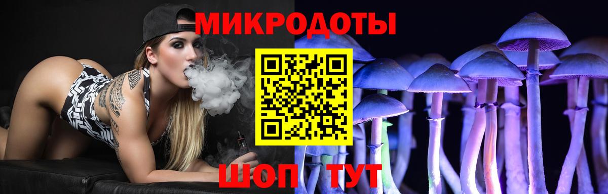 Псилоцибиновые грибы Psilocybe  Вход с VPN  как найти закладки  Новокузнецк 